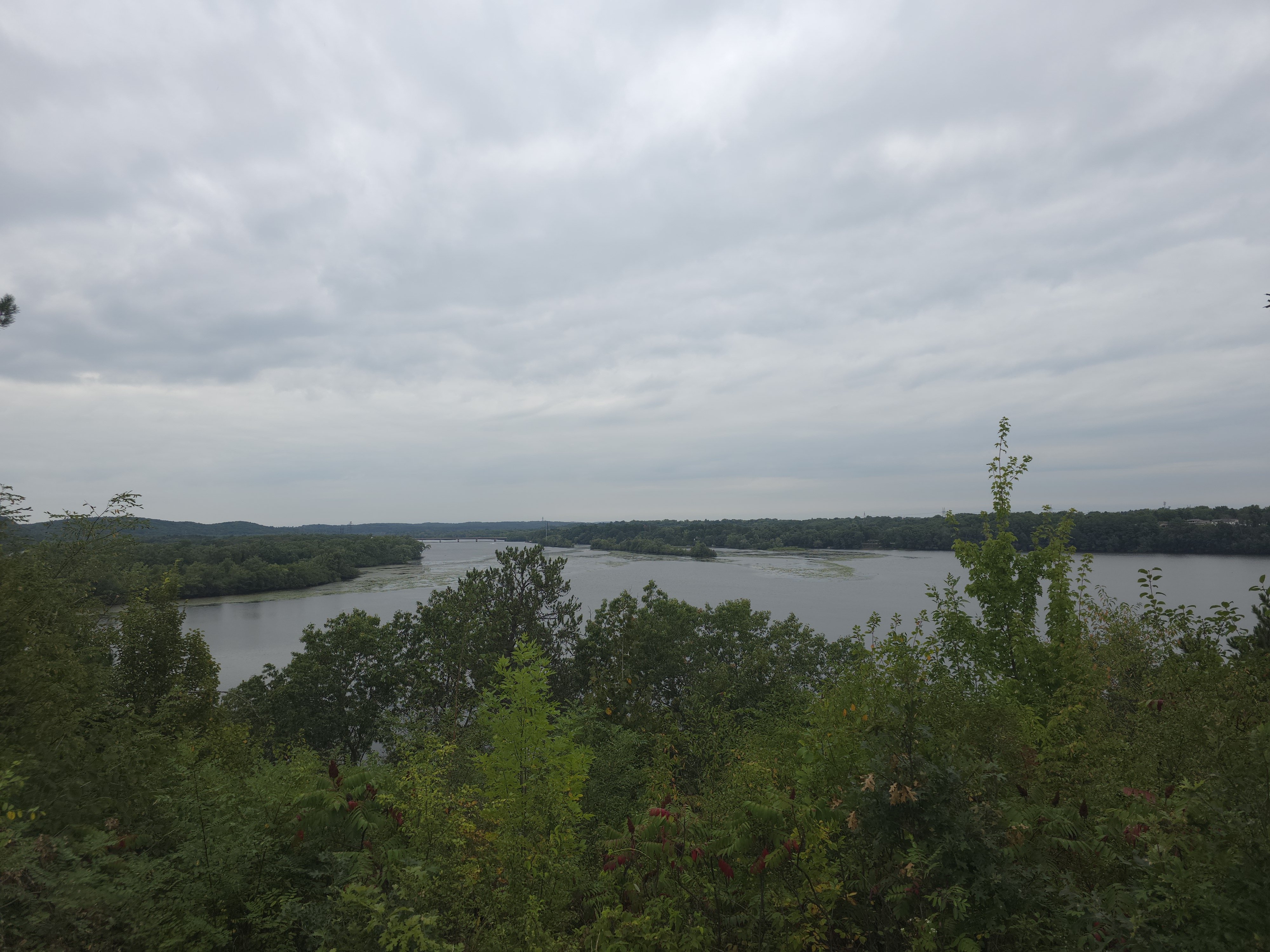View of McDonough Park overlooking Dells Pond